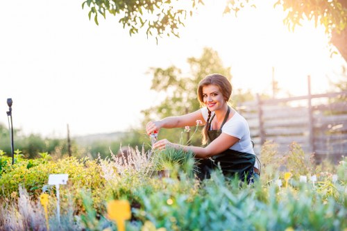Professional garden clearance service in Wimbledon
