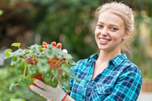 Affordable garden clearance packages in Wimbledon