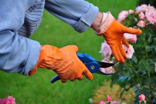 Seasonal planting in a Wimbledon landscape