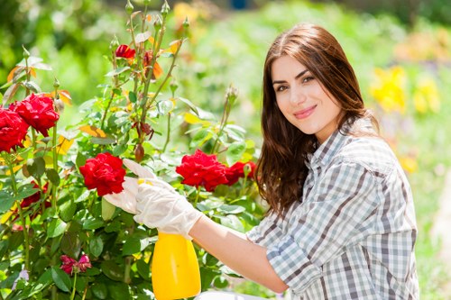 Comprehensive garden clearance services offered