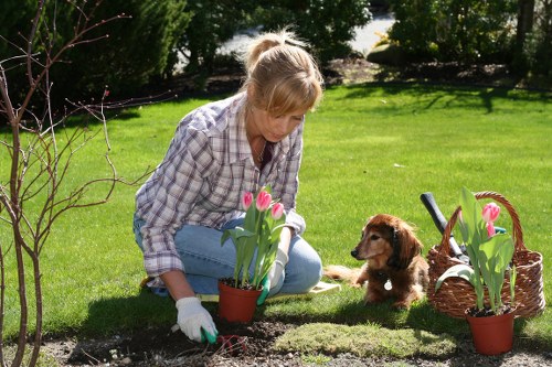 Sustainable features in a Wimbledon garden
